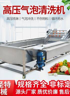 春竹气泡清洗机多功能果蔬去农残清洗设备高效佳圣特304不锈钢