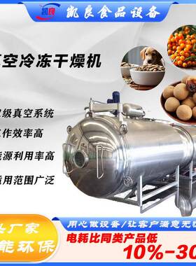 全球牛宠物零食冻干机沙棘果桂圆真空冷冻干燥机果蔬冻干真空高效
