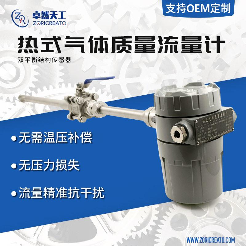 插入式热式气体质量流量计传感器管道流量计流量控制eh流量计同款