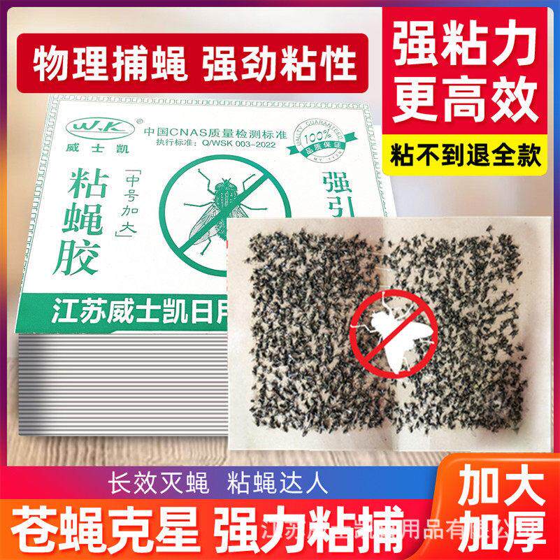 威士凯绿版粘蝇纸苍蝇贴卫生粘蝇胶 粘蝇纸 灭蝇捕蝇产品