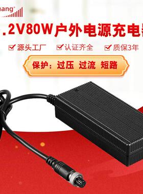 厂家直销25.2V4A 6A 7A 8A 10A 12A 15A户外储能电源快充充电器