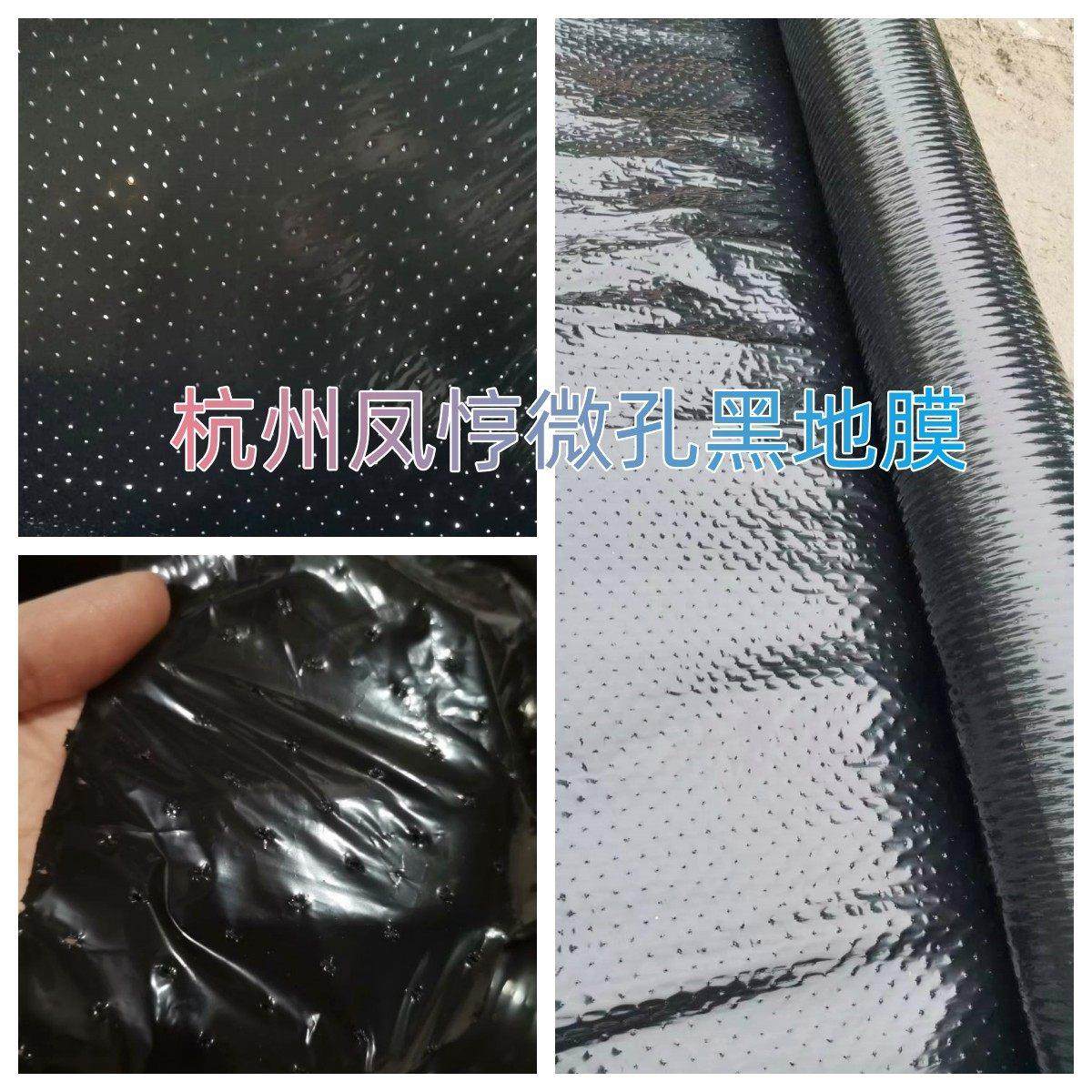 农膜微孔地膜魔芋辣椒专用膜带孔透气透水除草PE抗老化,农机/农具/农膜,农用薄膜,淘宝优惠券,粉丝福利购,淘宝优惠卷