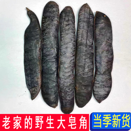 新货野生大皂角中药材干整长，皂角粉皂荚段白脱发(白脱发)天然洗发水无硫