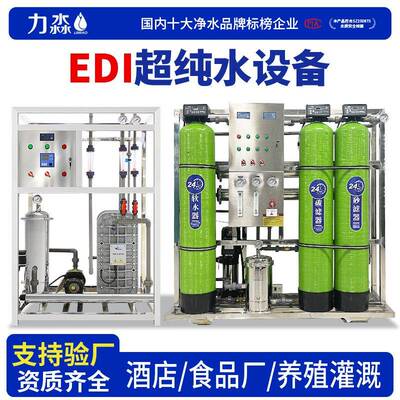 EDI超纯水设备工业纯净水双级反渗透设备工业实验室去离子水机器