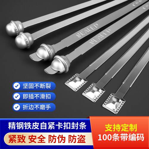 一次性铁皮圆头铅封集装箱货柜封条锁物流防盗施封锁运输标签铅封