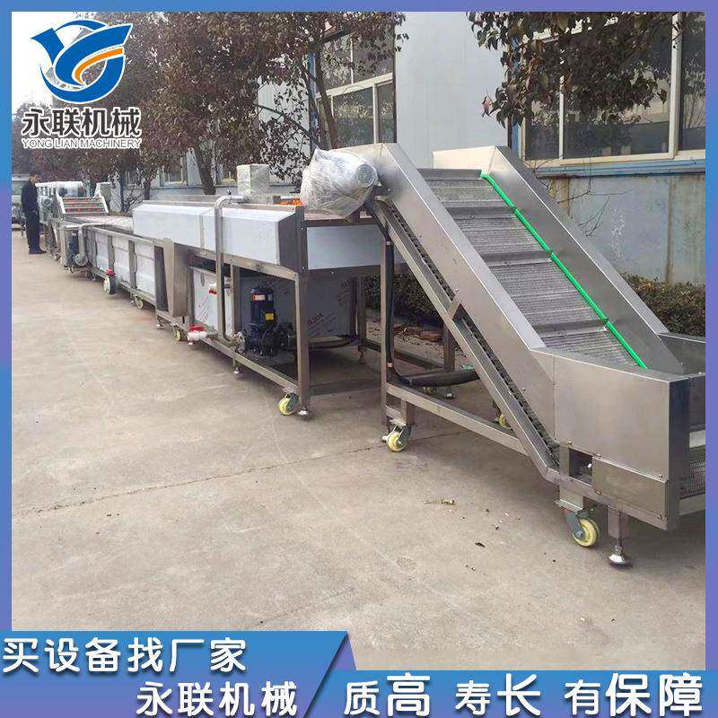 供应鼓风式气泡清洗机 全自动芸豆清洗机设备 香芹果蔬清洗机