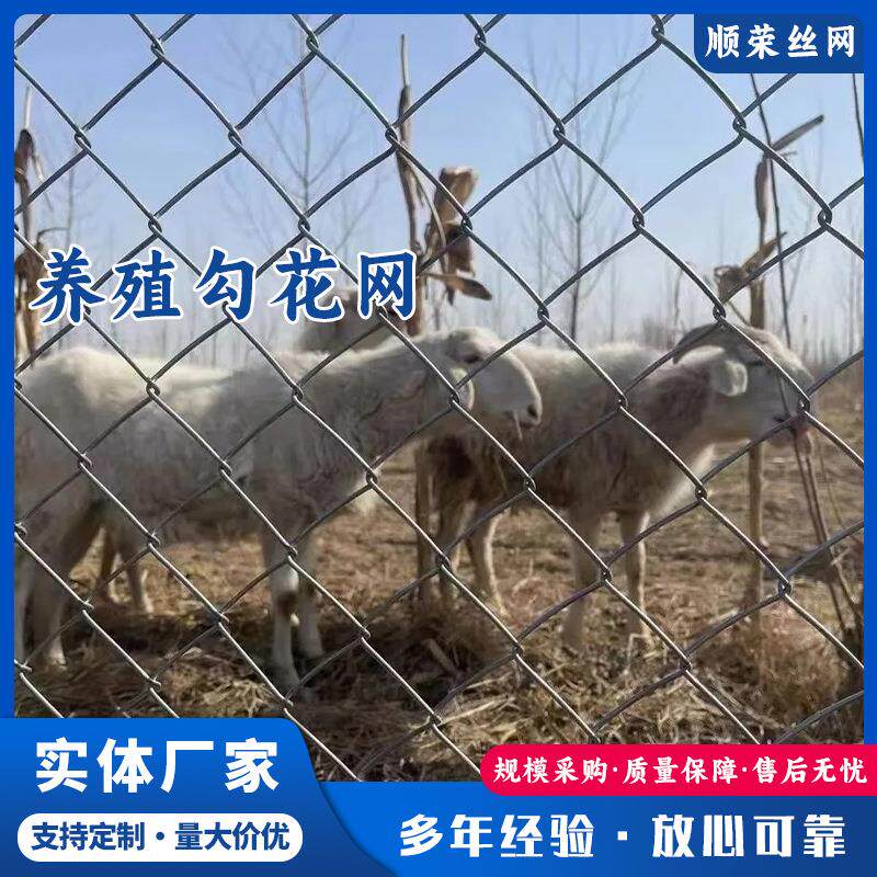 动物园拧花圈地菱形编织铁丝果园农场防护钢丝隔离护栏勾花围网