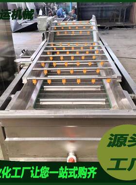 海参气泡清洗机果蔬清洗机预制菜加工清洗设备软包装袋清洗设备