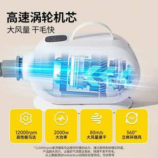 宠物吹水机狗狗家用吹风机大功率静音大型犬猫咪专用烘干吹毛神器