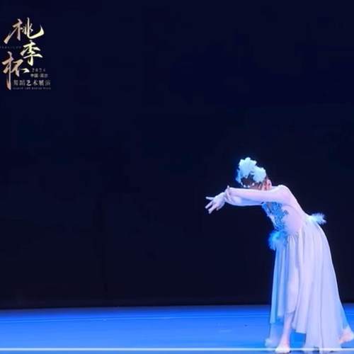 高档幼儿舞蹈演出服古典舞服桃杯青青之鸾舞蹈飘逸李艺考剧朱鹮表