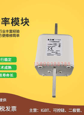 170M6693/6694/6695/6696/6697/6698/6699/6700快速保险丝熔断器