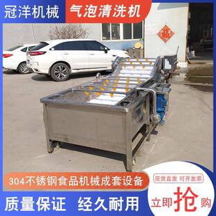 厂家供应 工厂大型洗菜机 葡萄气泡清洗机 黄桃苹果不锈钢清洗机