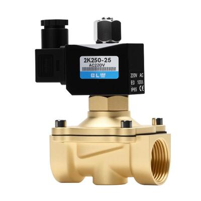 2K电磁阀常开型2K250-25D塑封线圈全铜AC220V控制水阀DC24V2分4分