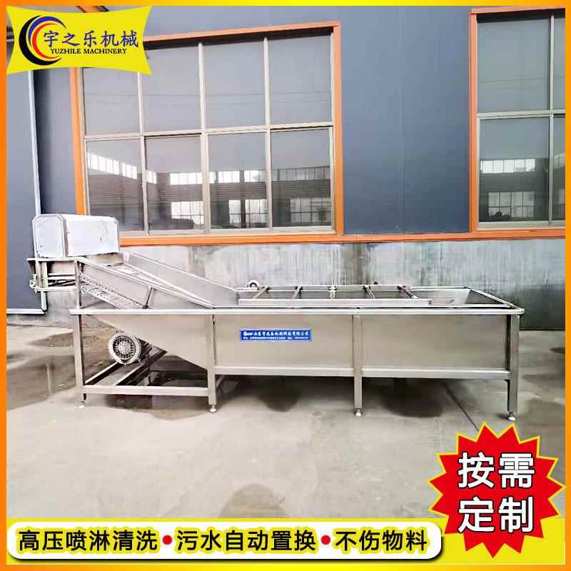 商用红枣清洗机 中房清洗流水线 果蔬连续式喷淋清洗机