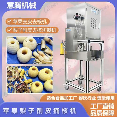 H多功能去皮去核切片苹果梨子削皮机宁夏红苹果取芯开片加工设备