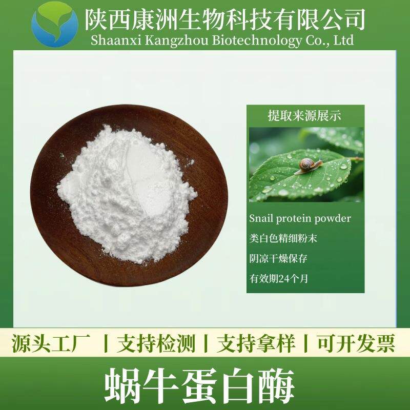 蜗牛蛋白酶98% 蜗牛粘液提取物 蜗牛分泌物冻干粉 康洲 现货量大