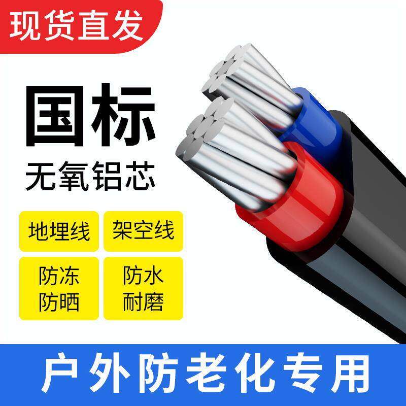 国标2芯护套线铝芯家用户外电线4 6 10 16 25平方线双芯铝电缆线