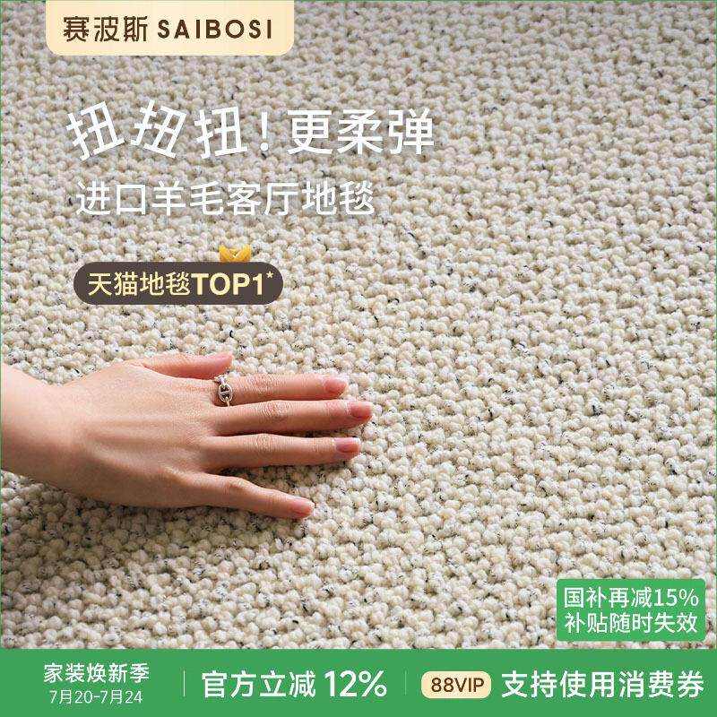 赛波斯进口羊毛地毯素色极简百搭轻奢高级感客厅卧室书房2025新款