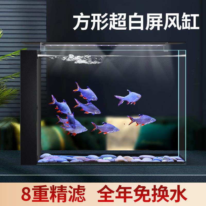 缸一体屏隔断10266458桌生态鱼缸半墙卫生间风客超白玻璃厅面免换