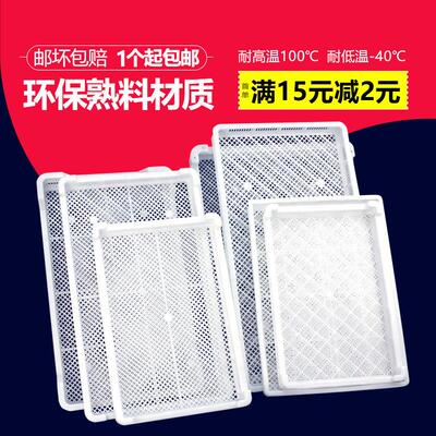 单冻器冷冻盘晾晒盘塑料烘干 干盘浅筐长方形网筐多肉托 托盘晒干