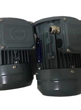 意大利MarelliMotori电机MOT3-MAA100LB4