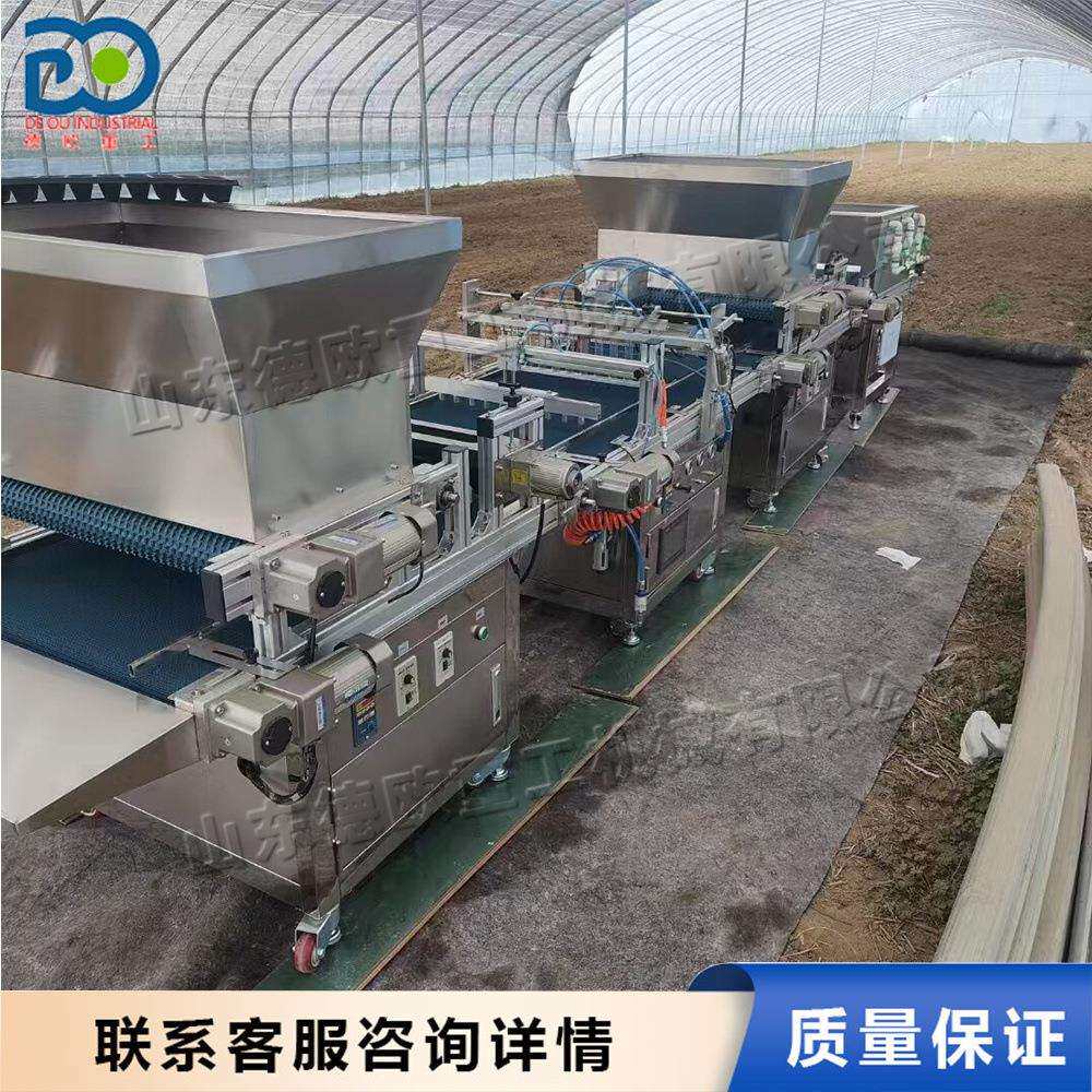 全自动穴盘育苗播种机铺土压穴播种覆土一体机辣椒番茄点播种机