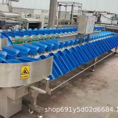 西红柿选机茄子南冬瓜菱角莲藕重分选哈量PIM密拣瓜分猕猴桃称重