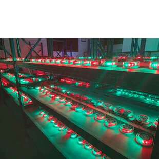 E011205红绿双色船头信号 LED导航灯信号灯 游艇船用 不锈钢12VDC