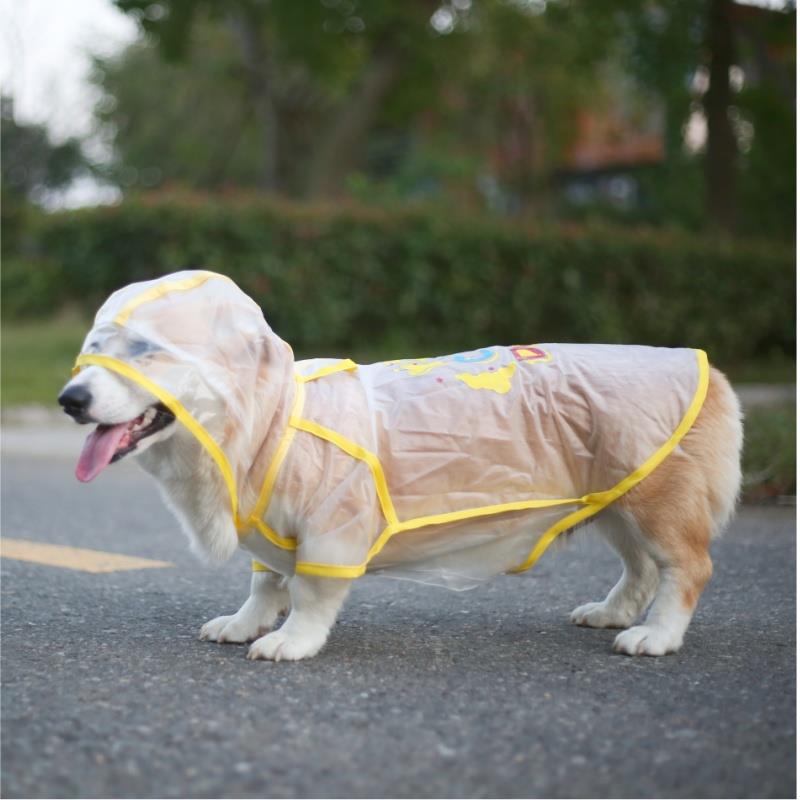 柯基雨衣雨披护肚子狗狗泰迪比熊银狐柴犬雪纳瑞比格史宾格西高地