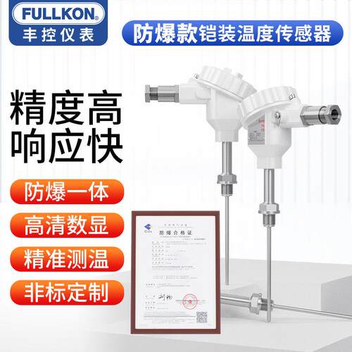 爆铠装-热电WRNK-230型防热电阻监视器-偶温度变送器