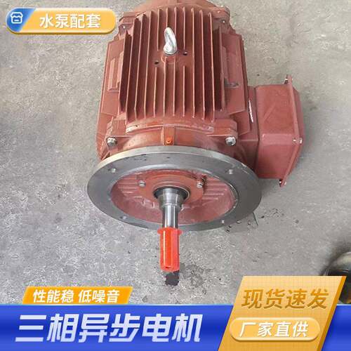 水泵配套三相异步电机厂家二级2900转380V大功率铁壳电动机