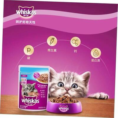 12x Whiskas Kitten Wonderful Fresh Package Fish Wet Cat Food