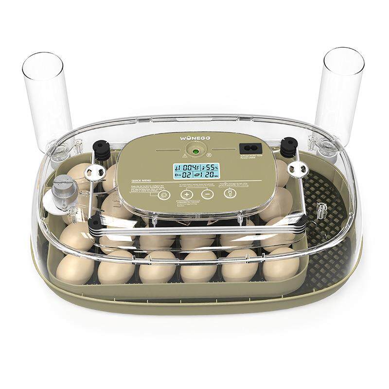 新品丁24枚大脸BTD猫小鸡孵化器家禽化芦鸡蛋蛋器孵设孵备孵化机