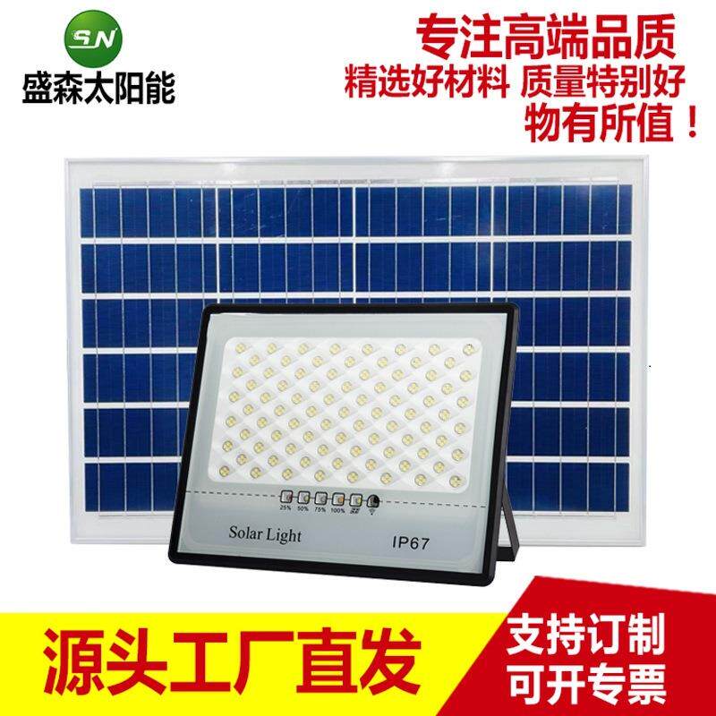 灯满天星投光灯家用户外庭院灯分体防水led感应灯