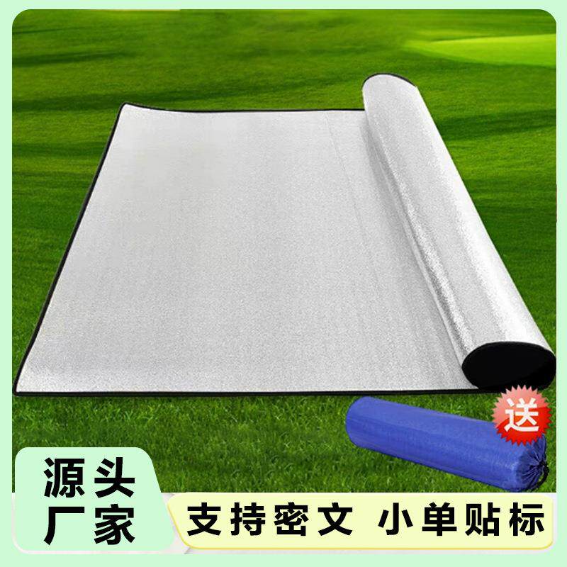 双面铝膜防潮垫家用午休垫便携露营帐篷地垫野餐垫加厚防潮带铝膜