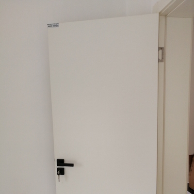 千年舟木门怎么样,使用三个月彻底受上了,内幕揭秘