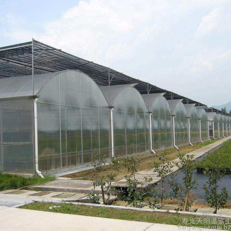 养殖连栋薄膜温室大棚花卉智能温室生态餐厅农业连栋温室大棚厂家