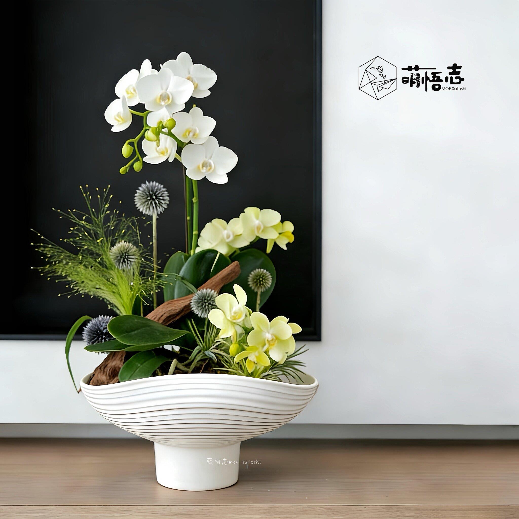 高脚艺术蝴蝶兰专用花盆陶瓷家用客厅桌面兰花组合造景大口径透气