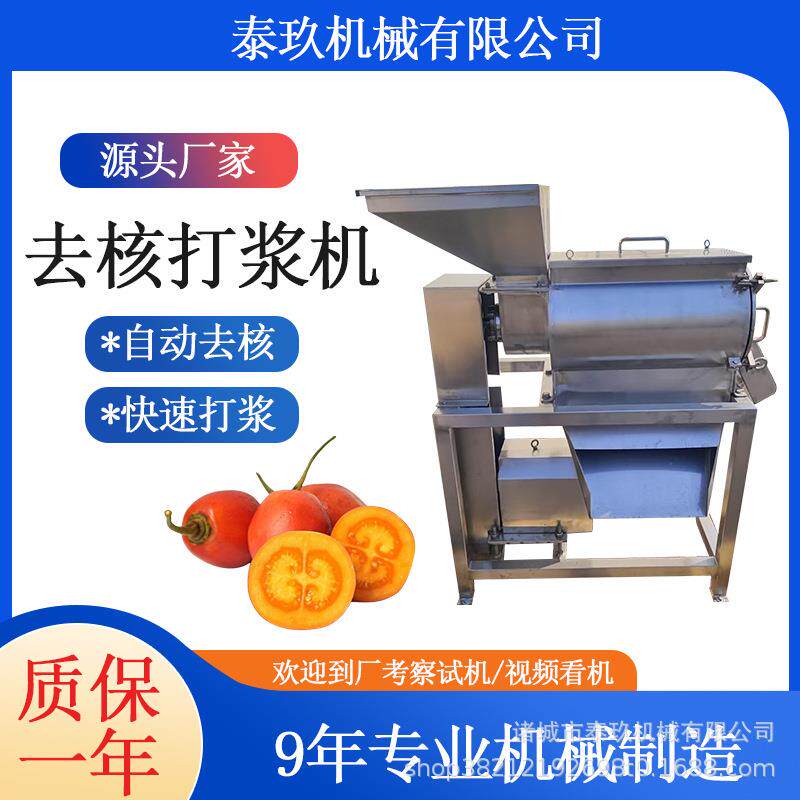 番石榴去皮打浆机果蔬饮料加工设备连续式西梅打泥机脆梨榨汁机