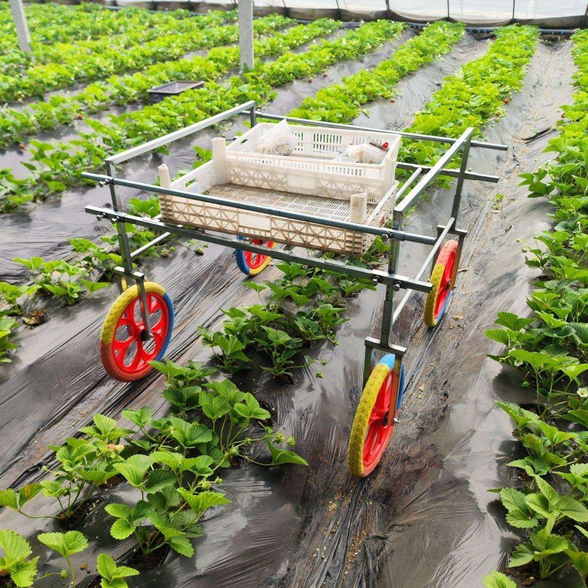 大棚采摘蔬菜草莓运输新款瓜果家用农用推拉手推车运输车工具车