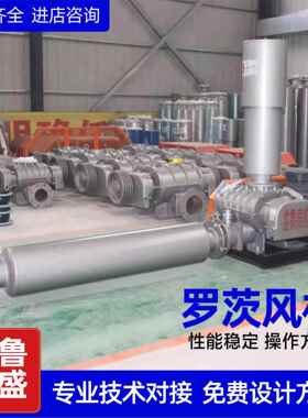 三YLM罗茨鼓风机污增水处理叶曝气风氧机增压负压气力输送罗茨机