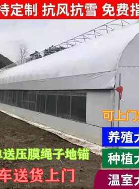 养殖大棚全套大棚骨架家用温室种植棚专业养鸡棚羊棚牛棚养猪大棚