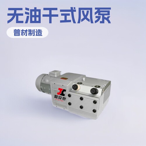 山东无油干式风泵ZYBW140E