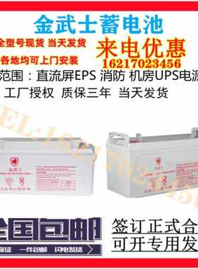 金武士UPS蓄电池PV12V100AH/65AH PW24-12/38-12 PH17-12V150AH