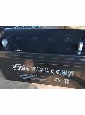 蓝肯蓄电池NP100-1212V100AHEPS/UPS铅酸免维护蓄电瓶电源