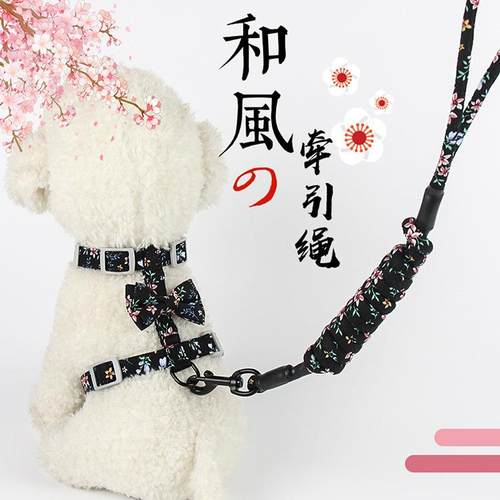 猫咪牵引绳防挣脱遛猫绳猫链子溜猫绳子猫牵引绳猫咪专用家用神器