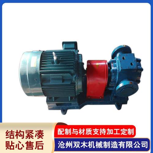 真正厂家直发可现货RY导热油泵风冷式高温循环油泵锅炉循环泵