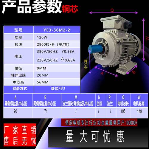 三相异步电动机YE3-56M2-2