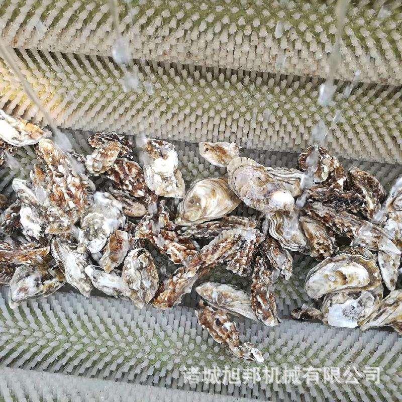 菱角葫芦瓜去皮清洗 葛根清洗去皮机 商用鱼类鲫鱼毛辊去鳞清洗机