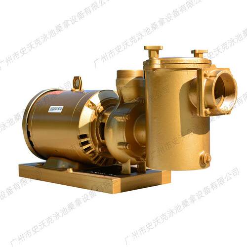 泳池铜泵 大型泳池水疗水泵 7.5HP铜泵 三相380V 游泳池设备